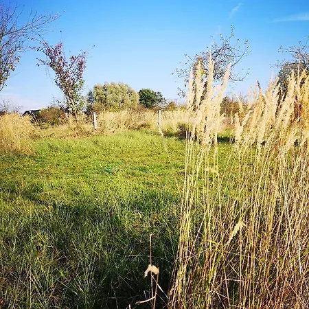 Appartamento Koko Solingen