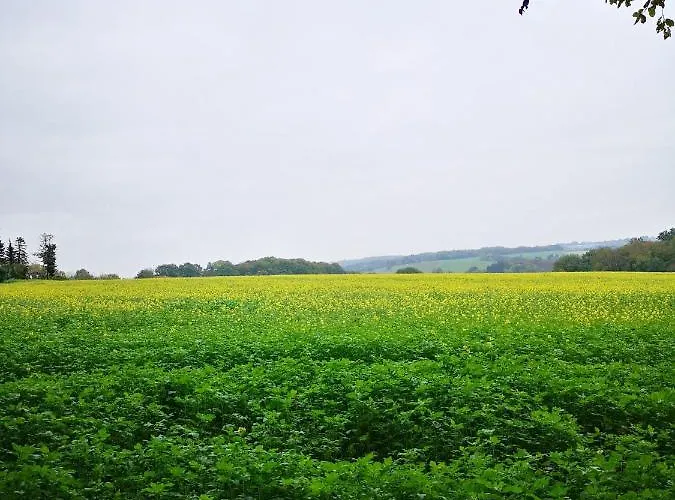 Appartement Koko Solingen